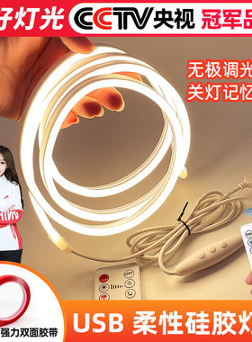 电视背景墙装饰5v智能无极调光床头灯带氛围灯usb霓虹硅胶led灯条