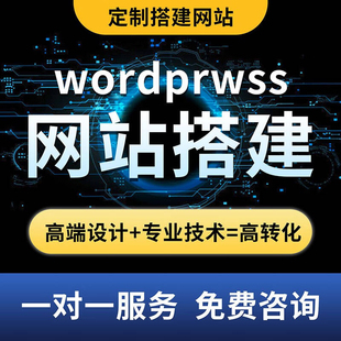 外贸建站商城独立站wp英文网站建设店铺装修wordpress企业站定制