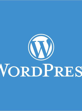 独立站外贸网站建设外贸商城企业wordpress建站装修wp自建站b2b2c