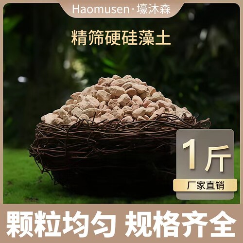 硬质颗粒硅藻土多肉花卉种植生长