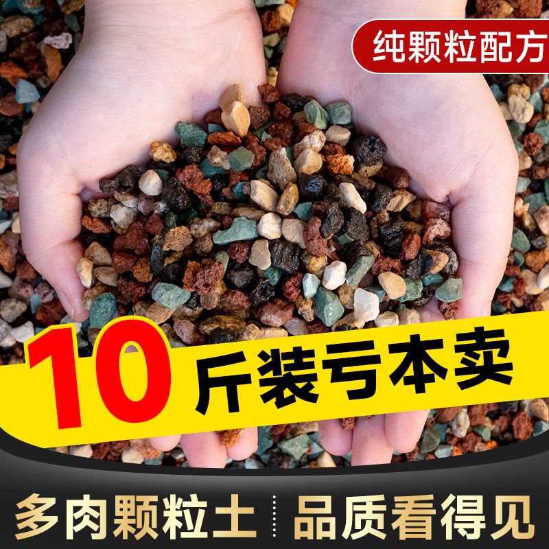 多肉纯颗粒土控型上色防烂根