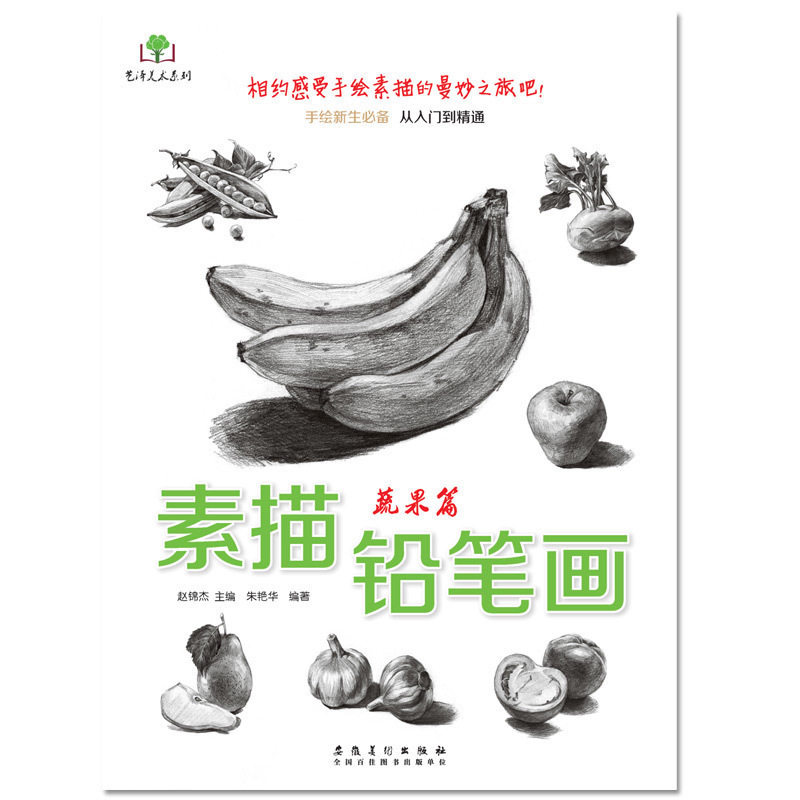 素描铅笔画蔬果篇素描铅笔从入门到精通素描美术书单册素描静物手教程