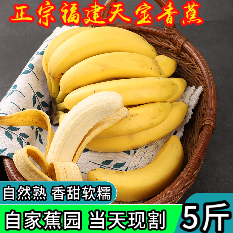 正宗福建漳州天宝香蕉 5斤装 现割零添加 新鲜当季水果软糯香甜