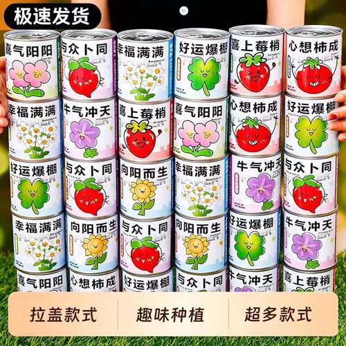 创意易拉罐儿童种植花卉迷你盆栽罐头绿植盲盒室内桌面幼儿园礼物
