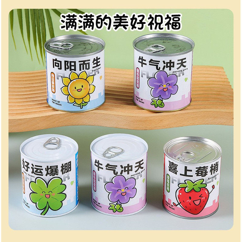 种植盲盒精美礼盒儿童植物盆栽幼儿园小学生观察植物种子迷你奖励
