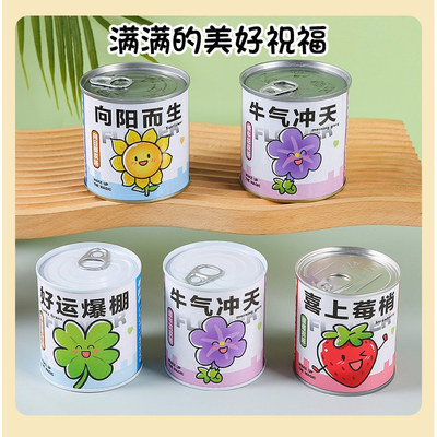 种植盲盒精美礼盒儿童植物盆栽幼儿园小学生观察植物种子迷你奖励