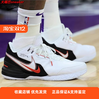 Nike/耐克 Zoom LeBron NXXT 詹姆斯布朗尼缓震篮球鞋 FJ1567-100