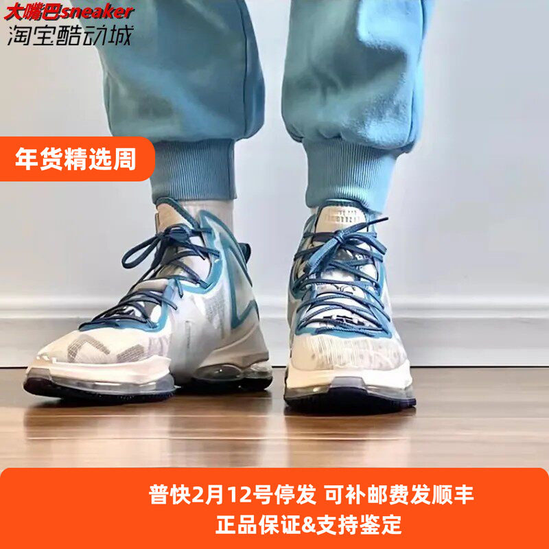 nike/耐克 lebron 19 ep 詹姆斯19代高帮实战篮球鞋 dc9342