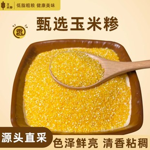 东北玉米糁当季新货小粒笨玉米棒碴子五谷杂粮玉米小碴子粗粮煲粥