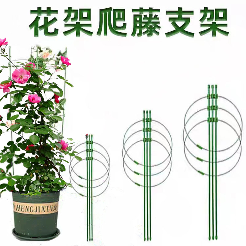 盆栽植物藤本月季爬藤架花架 支撑杆防倒伏花支柱  花盆固定支架
