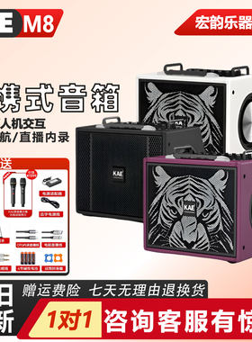 KAE M8音箱户外弹唱M5音响数字无损环绕立体声专业舞台直播电吹管