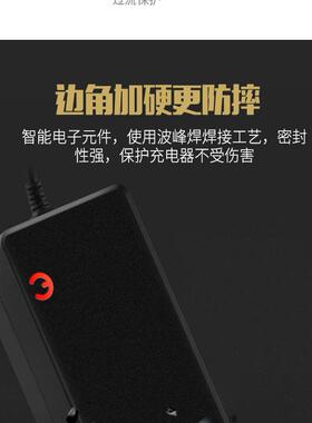 锂电池电瓶充电器36V42V2A36V3A4A5A锂电池充电器平衡车哈雷快充