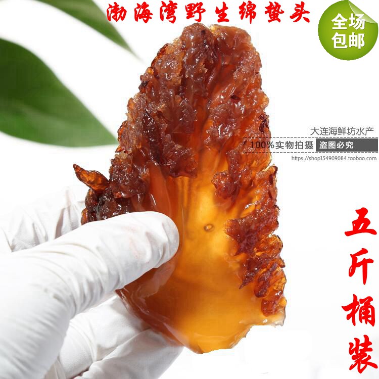 海蜇头野生绵蛰头桶装海蜇凉拌脆