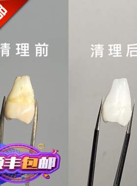 Tomorrowdo人牙齿纪念项链