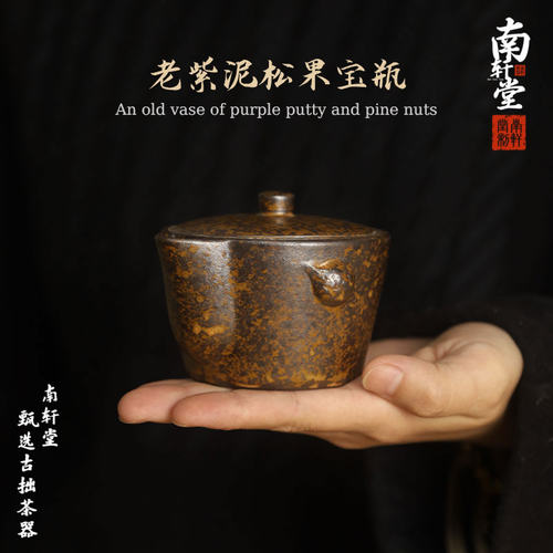 南轩堂手抓壶盖碗宝瓶功夫茶具