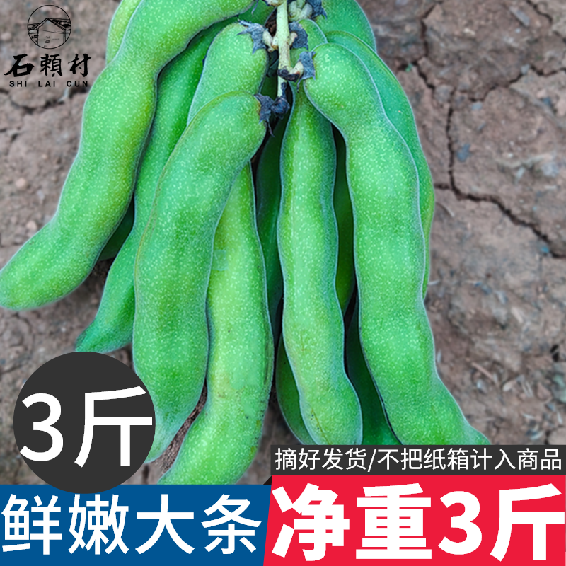 狗爪豆3斤农家新鲜狗儿豆猫猫豆现摘龙爪豆四川特产虎老豆狗毛豆