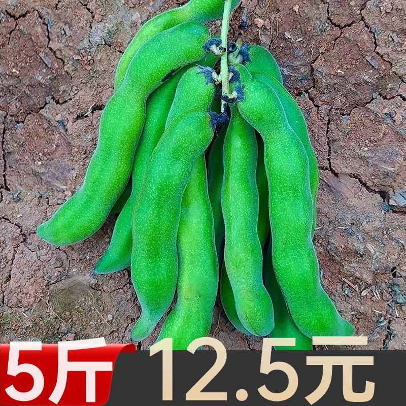 5斤新鲜农家狗爪豆狗古豆狗豆龙爪豆四川老虎豆广西猫豆狗找豆