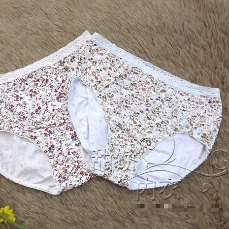 亏清任4条包邮08外贸欧美舒适透气格子棉质三角裤棉裆女内裤小码