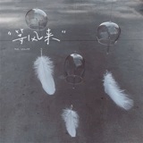 Мистер Чжан Стеклянный Ветр Оригинал [Оживный ветер приходит] Перья