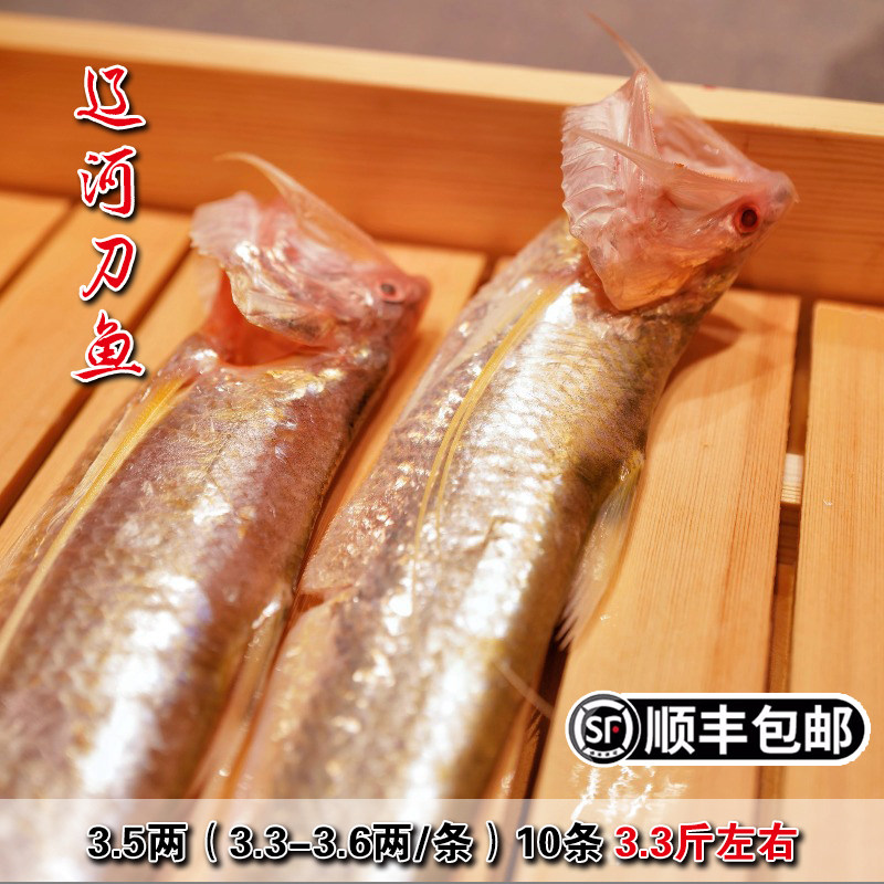 盘锦特产辽河刀鱼新鲜3.5两毛刀鱼烤子鱼凤尾鱼海刀鱼3斤冷冻包邮