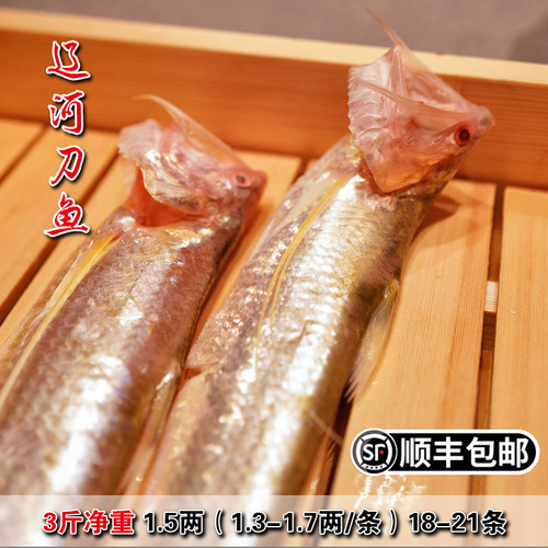 盘锦辽河刀鱼新鲜冷冻凤尾鱼