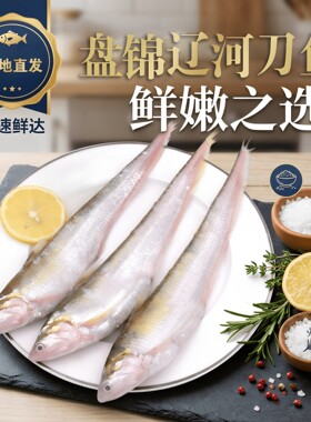 盘锦辽河刀鱼整条冰鲜礼盒