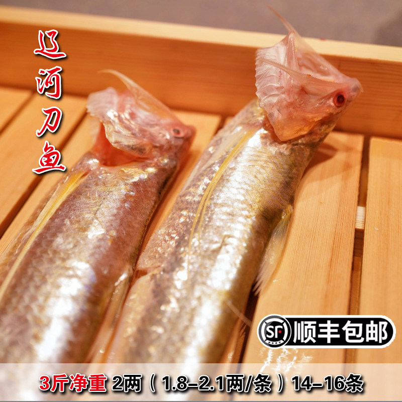 盘锦特产辽河刀鱼新鲜2两毛刀鱼烤子鱼凤尾鱼3斤装海刀鱼冷冻包邮