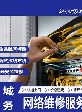 苏州监控安装工IT外包网络维护服务器维护服务器电脑维修门禁维修