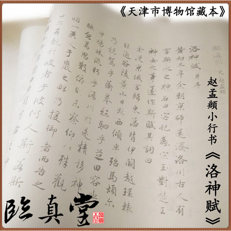 赵孟頫 洛神赋 行书 原帖 原大 放大 临摹 描红 宣纸 字帖 临真堂