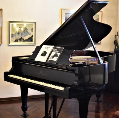 施坦威三角钢琴Steinway & Sons S/O/M/B/L/B/D系列演奏复古