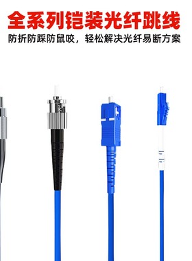 FC-FC双圆头3\5\10\15\20\25\30\50\100米铠装单模光纤跳线UPC跳纤尾纤连接器防折防踩防鼠咬三防金属保护层