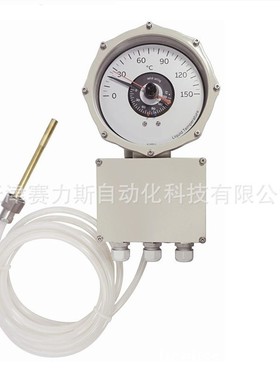 COMEM气体继电器BR80 LC 温度计