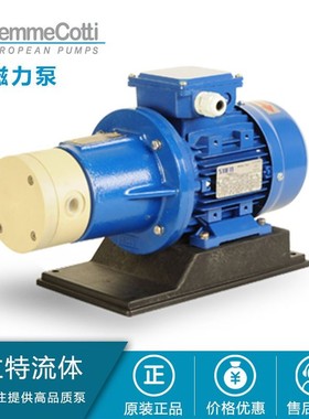GEMMECOTTI磁力泵 HTM SS 316 磁力涡旋泵 磁力滑片泵