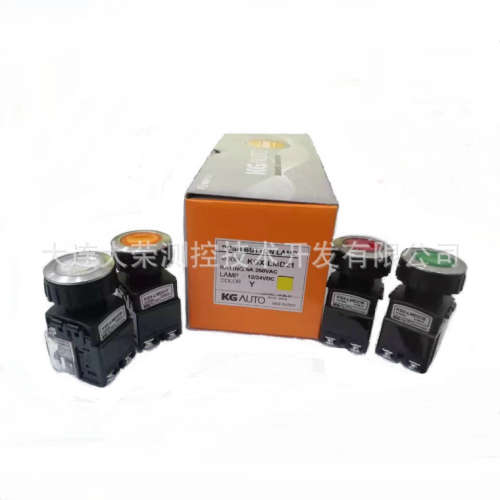 韩国KGauto KGK-H3M2/ KGK-H2RA2三/二挡钥匙开关 Φ22