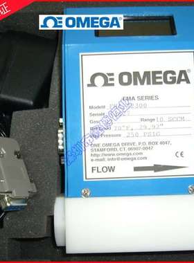 FMA-A2100_A2101_A2102_A2103_A2104_A2105-SS质量流量计