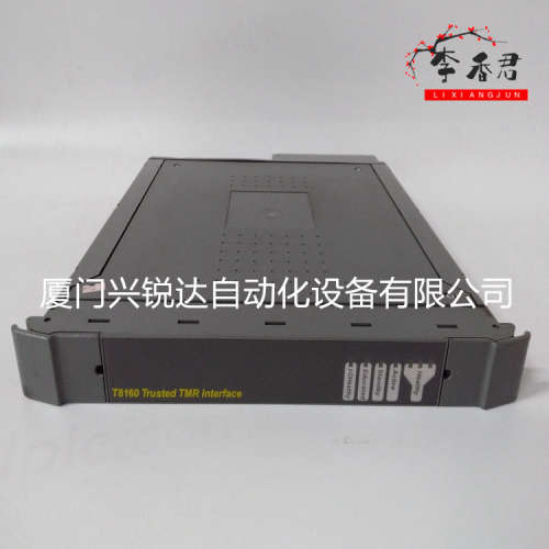 T8270 ICS Triplex PLC模拟量模块