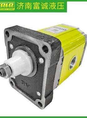 意大利VIVOLO齿轮泵XV2P-D/X2P4502EPOA维沃尔高压原装液压泵惠供