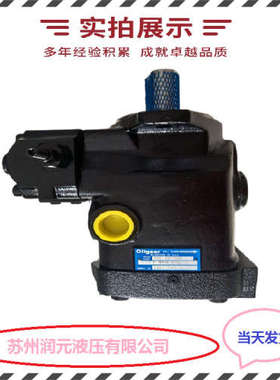 法国HPI齿轮泵P1CBN1004CL20C01S 性能强 质保1年