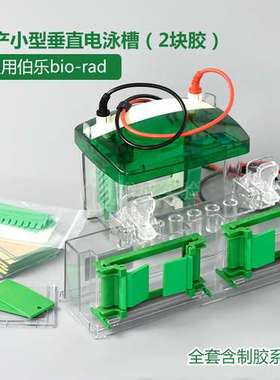 通用Bio-Rad/伯乐Mini-ProteanTetra小型垂直电泳槽蛋白槽1658001