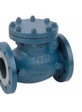 意大利AMIS饮用水用ONDASTOP DN50 PN16隔膜 止回阀 厂家批发