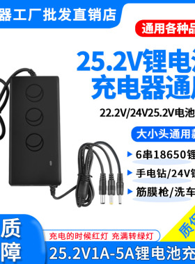 22.2V24V25.2V1A2A3A4A5A手电钻筋膜枪6串18650三元锂电池充电器A