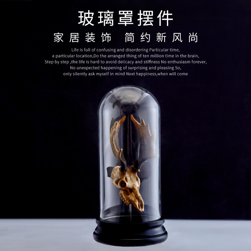雕刻工艺品客厅欧式样板房家居饰品摆件个性创意透明玻璃罩摆设