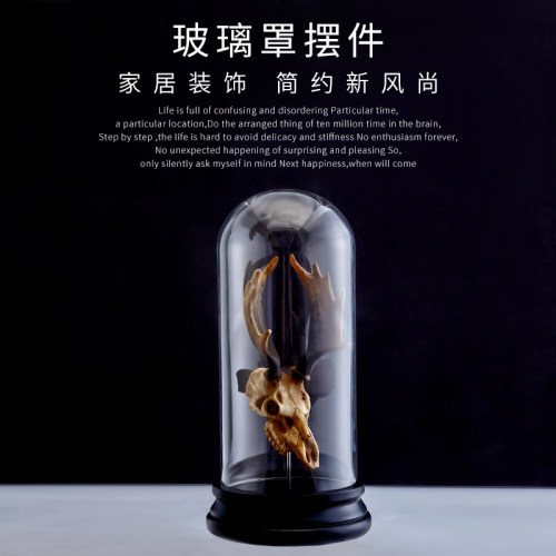 雕刻欧式风个性透明玻璃罩工艺品