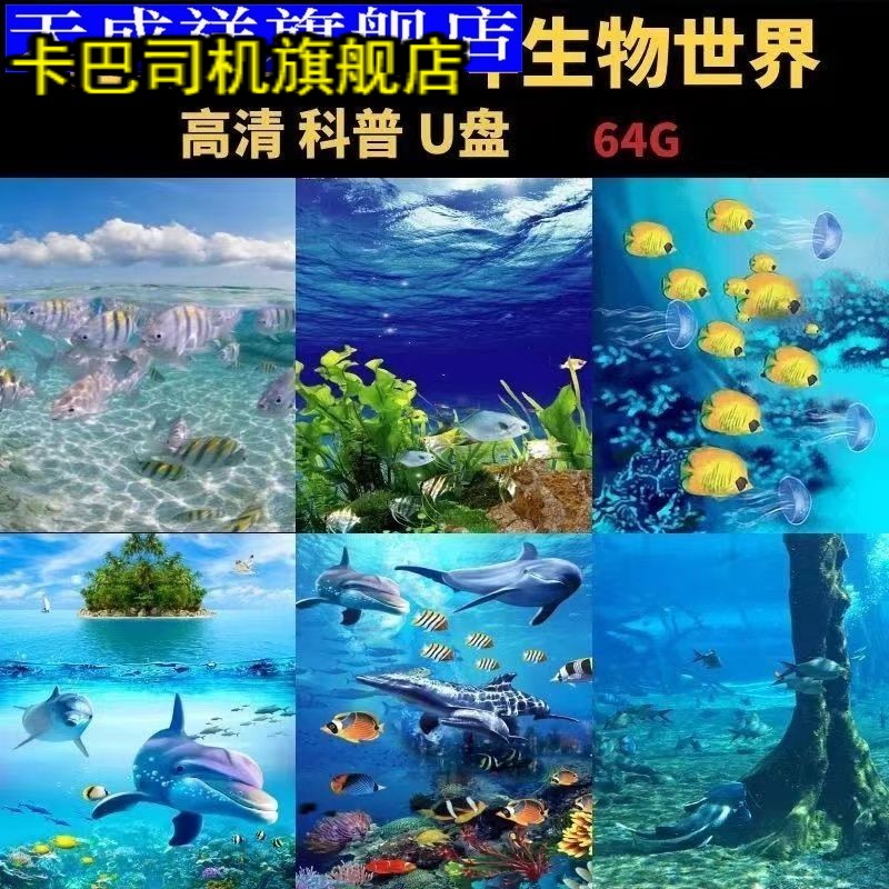 海底世界记录片U盘动物海洋生物儿童百科知识科普超高清1280P优盘 汽车用品/电子/清洗/改装 车载MP3/MP4 原图主图