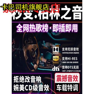 汽车载u盘正版 无损高音质2024抖音新歌曲dj黑胶音乐优盘车用热歌