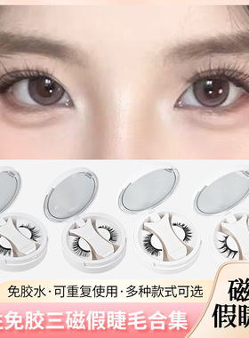 Magnetic Eyelashes Reusable Winged Magnetic 3D Mink lashes