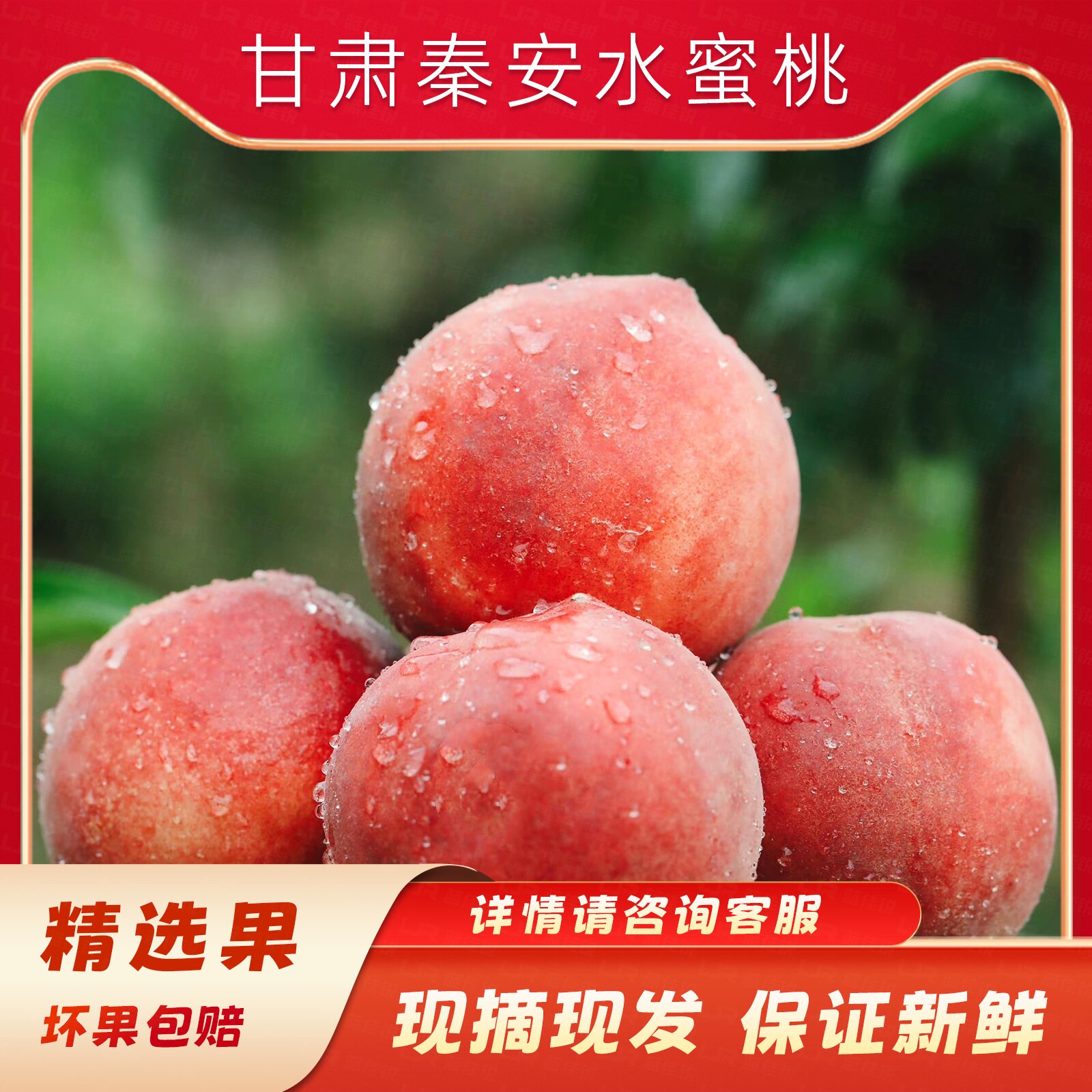秦安水蜜桃北京7号精品大果现摘现发16個礼盒装