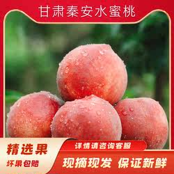 秦安水蜜桃北京7号精品大果现摘现发16個礼盒装