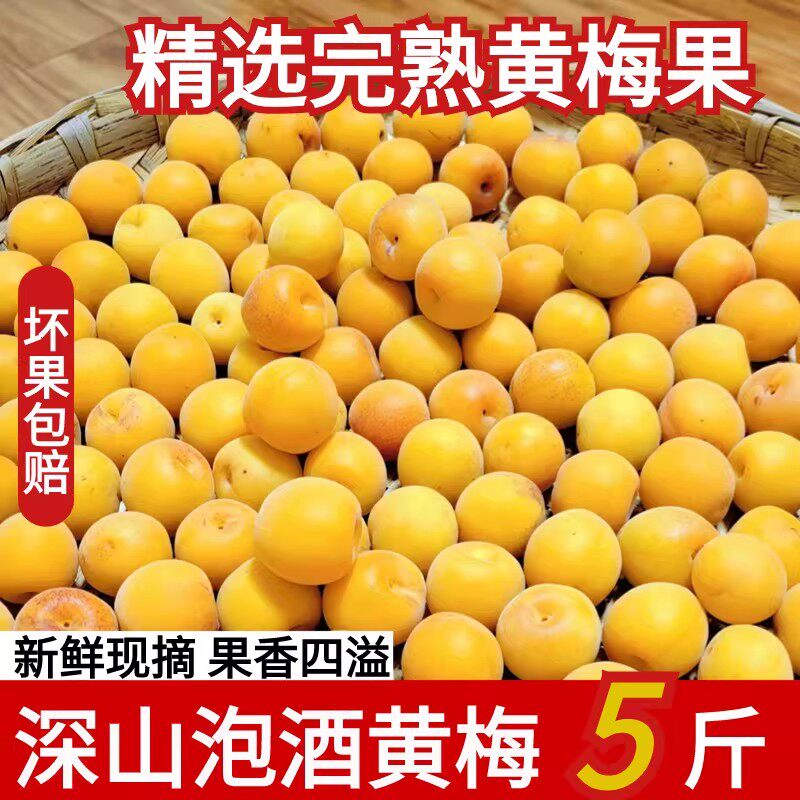 2026高山完熟黄梅果5斤现摘酸梅子泡酒酵素梅子露青梅胭脂梅熟果
