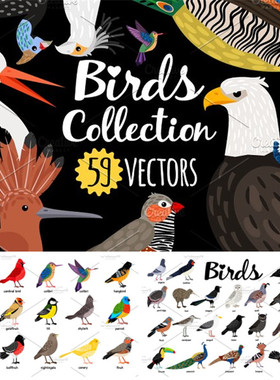 [713]AI矢量设计素材 59张鸟类插画图孔雀鹦鹉印花包装LOGO背景